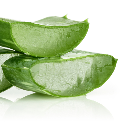 Aloe Vera Fragrance Oil