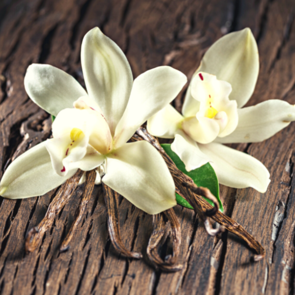 Get Wholesale Vanilla Fragrance Oil For Your Business 