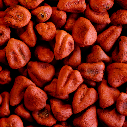 Annatto Seed (Urucum)