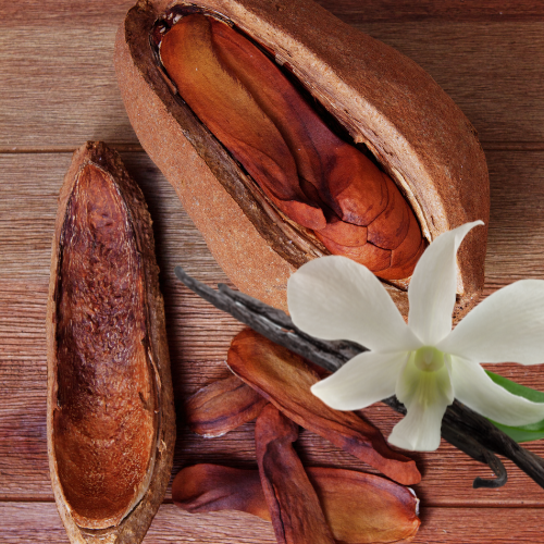 Spiced Mahogany Fragrance Oil