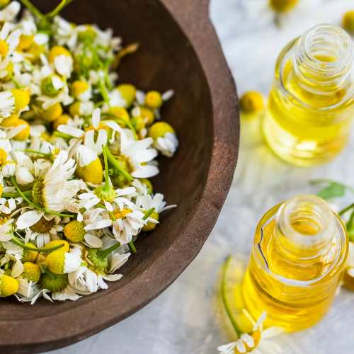 Relax Time Fragrance Oil