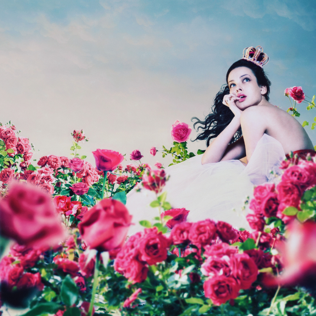 Rose Blush Fragrance Oil