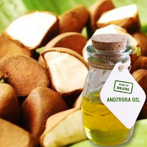 Andiroba Oil - Natural Unrefined - Wholesale