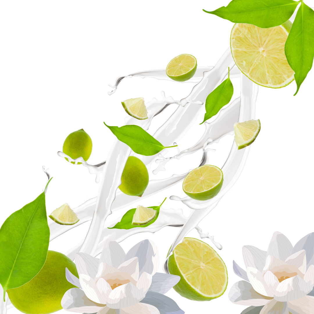 Matcha Time Fragrance Oil