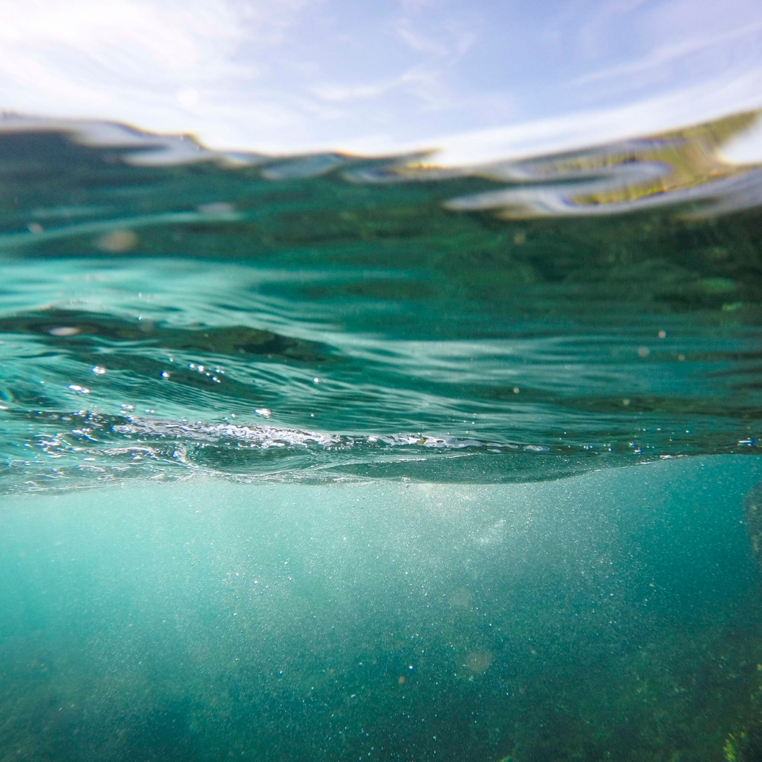 Water Eden Fragrance Oil