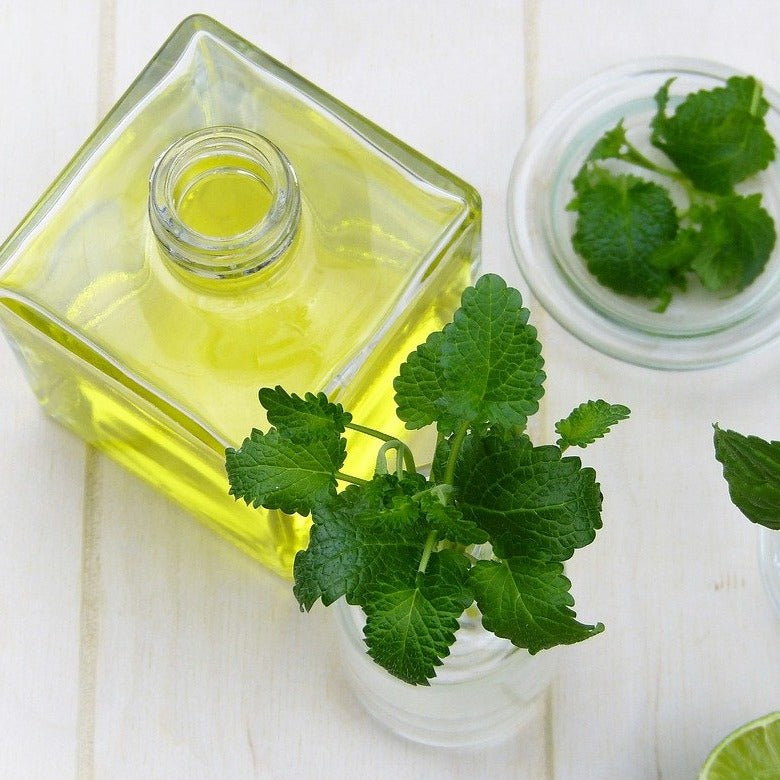 Peppermint & Eucalyptus Fragrance Oil