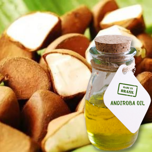 Andiroba Oil  - Natural Unrefined - Wholesale