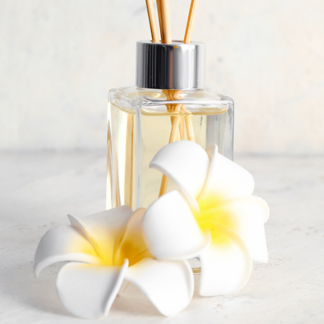 [Plumeria Flower/Frangipani Fragrance Oil] - Paris Fragrances USA