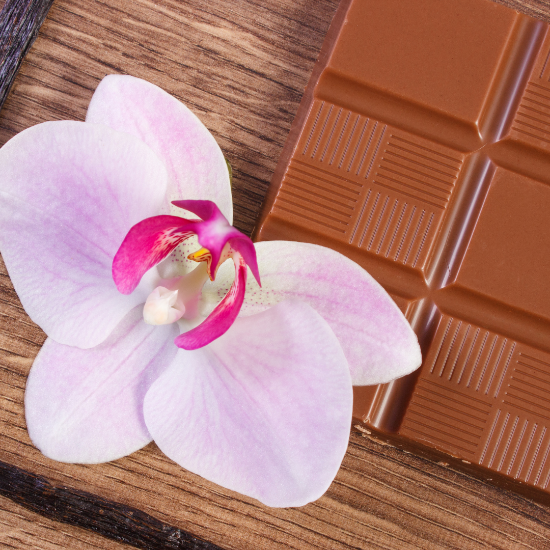 Chocolate Orchid Fragrance Oil