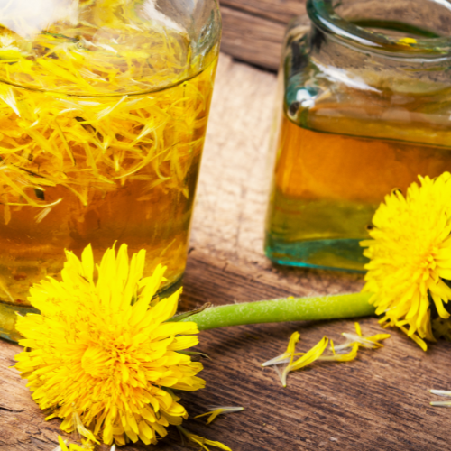 Dandelion - Liquid Herbal Extract